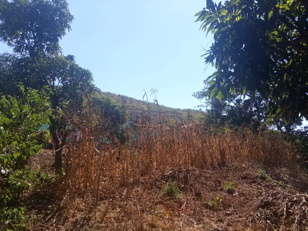 Chinhoyi Plot to let