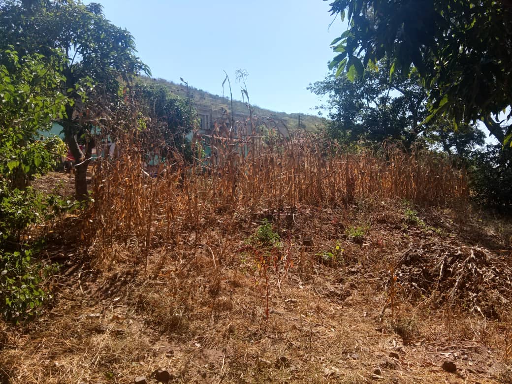 Stand for sale in Aspindale